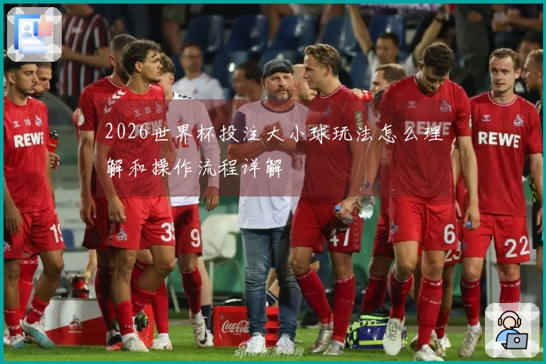 2026世界杯投注大小球玩法怎么理解和操作流程详解